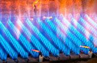 Edmondsham gas fired boilers